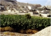 Jericho ist die lteste Stadt der Erde und ist heute palstinensische Autonomie.