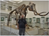 Spenglermuseum: Bertram und das Alt-Mammut