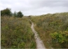 Ein Stck des Weges kann man den Deich verlassen und (Kurabgabepflichtig) einen Pfad durch die Dnenlandschaft entlanggehen.